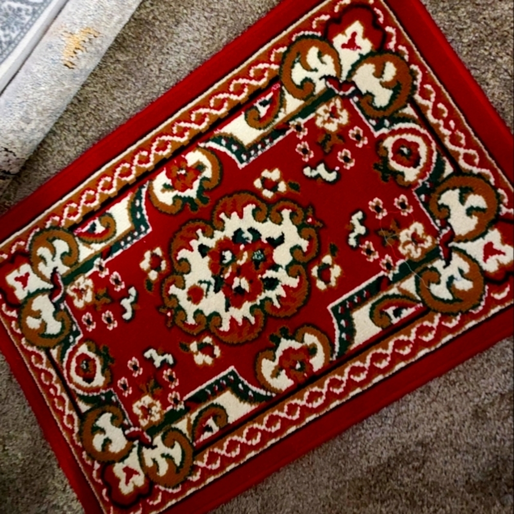 Accent rugs 24×35 in